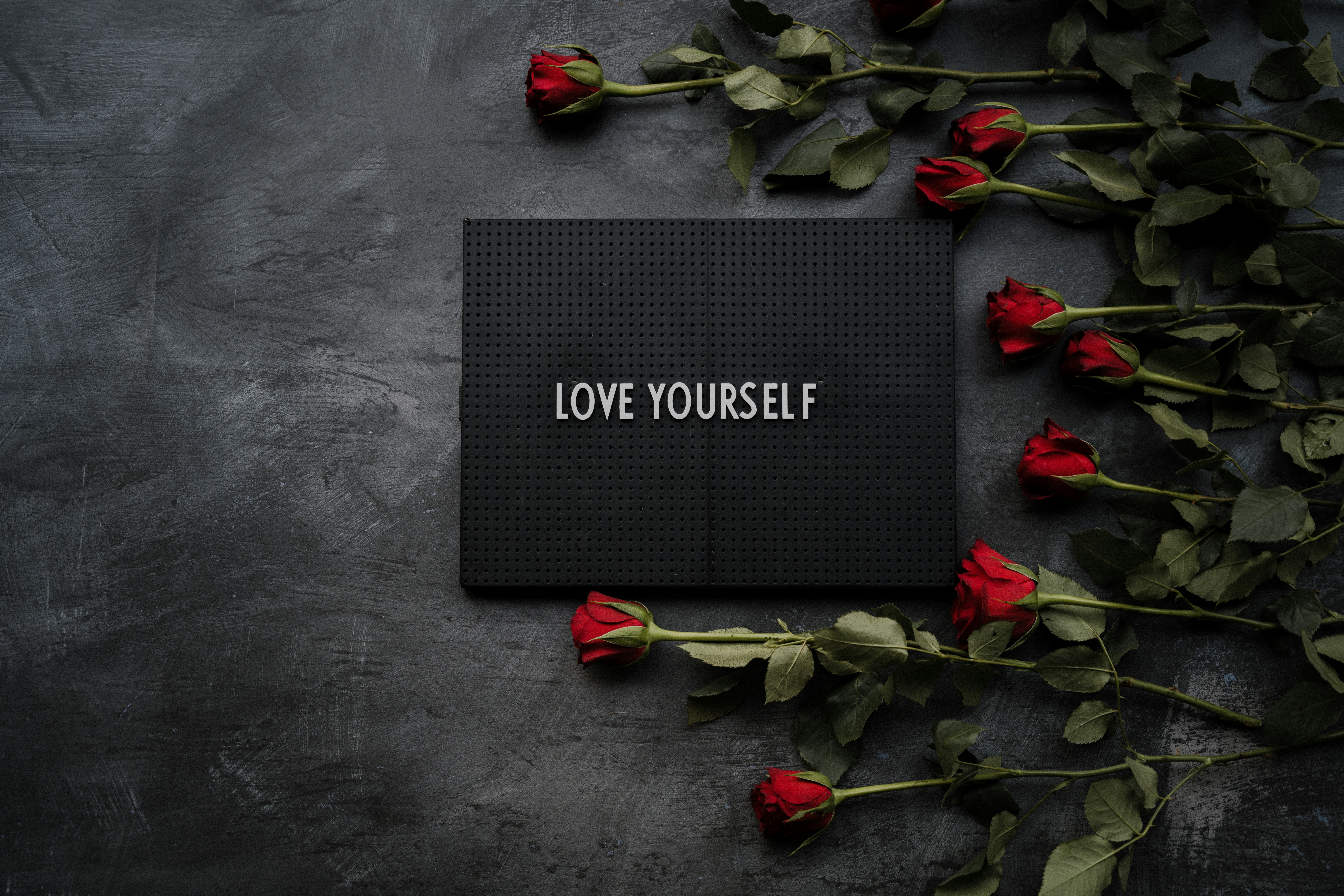 Love yourself written on a peg board with red roses next to it